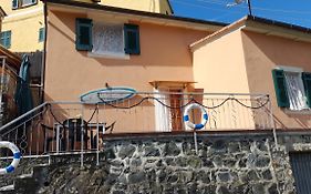 Un Tuffo Nel Mare